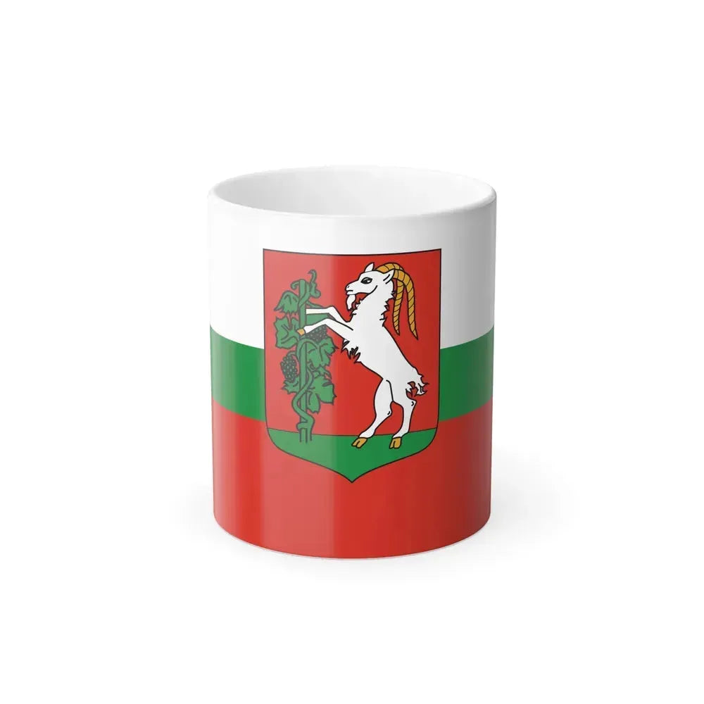 Flag of Lublin Poland - Color Changing Coffee Mug 11oz - Go Mug Yourself