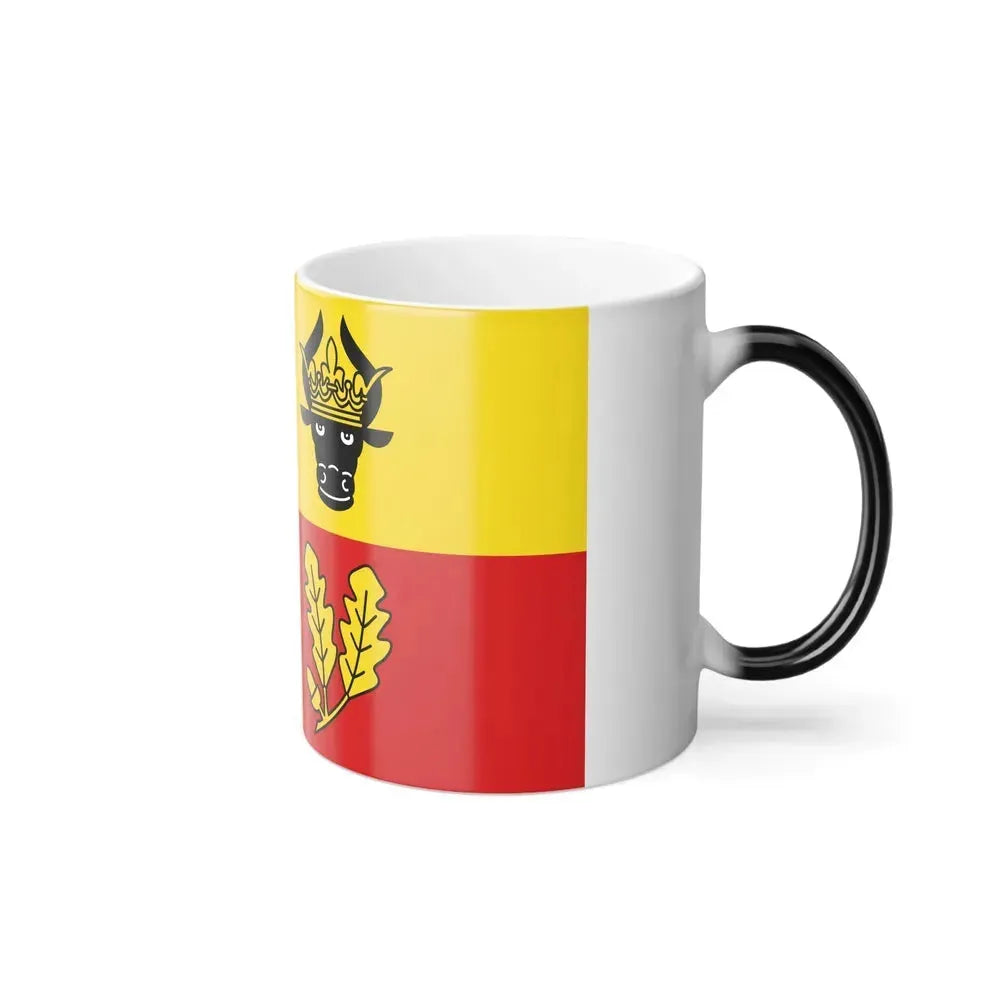 Flag of Ludwigslust Parchim Germany - Color Changing Coffee Mug - Go Mug Yourself