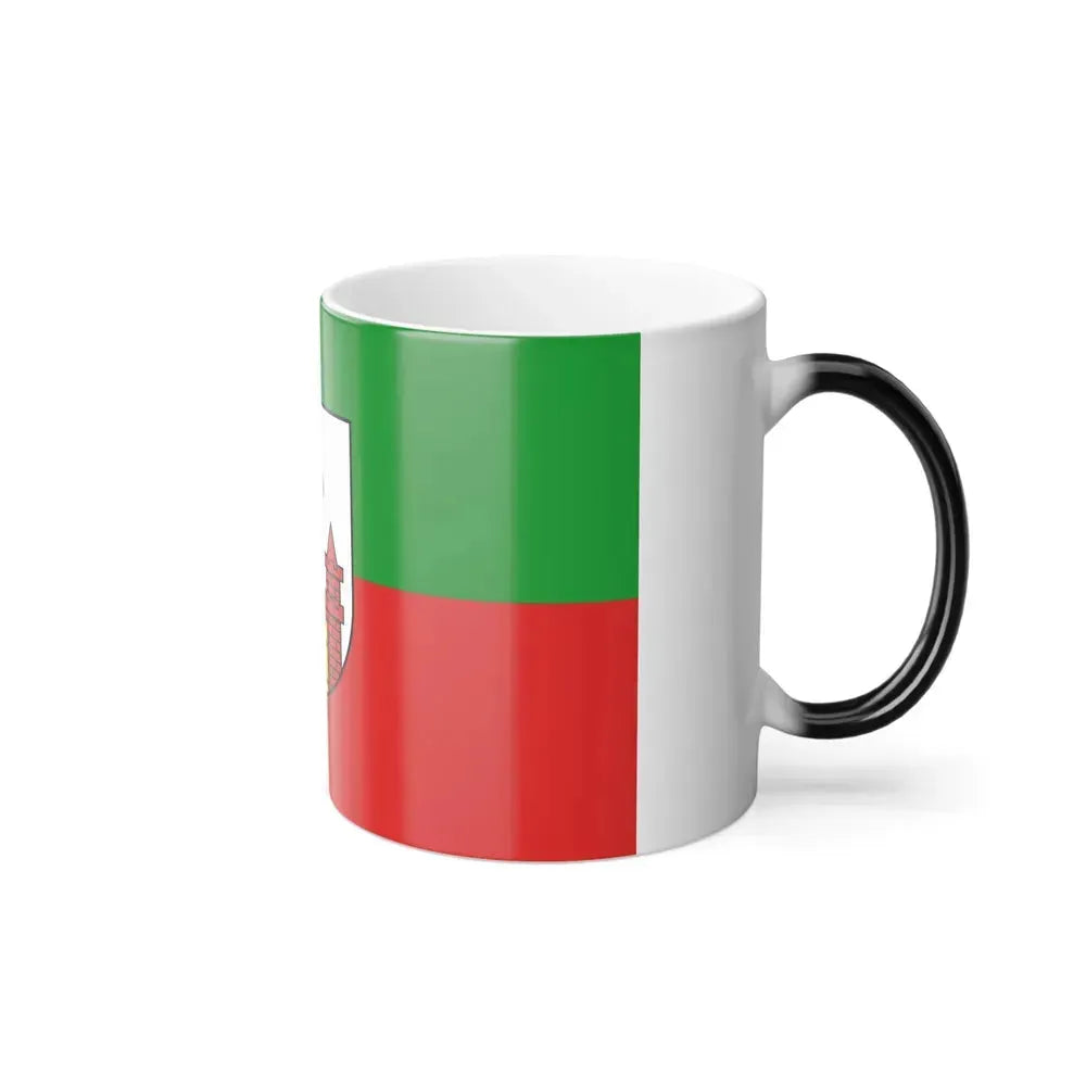 Flag of Magdeburg Germany - Color Changing Coffee Mug - Go Mug Yourself