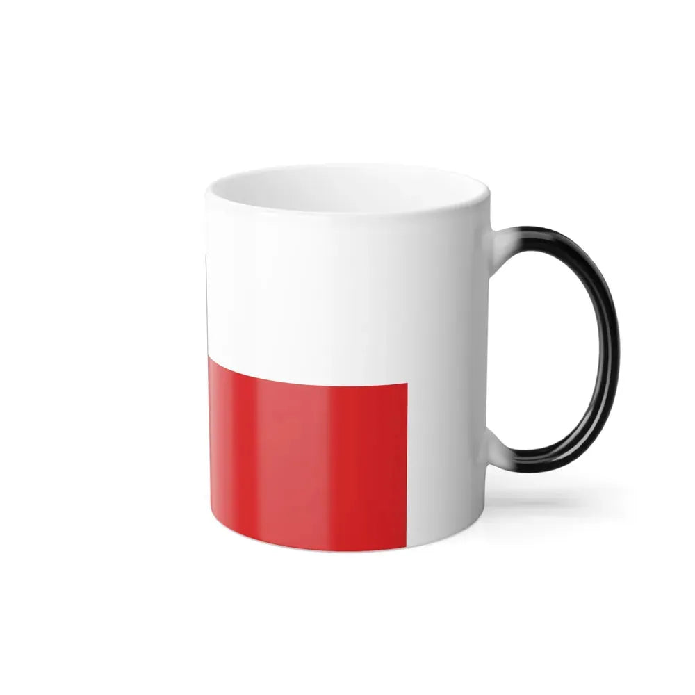 Flag of Marburg Biedenkopf Germany - Color Changing Coffee Mug - Go Mug Yourself