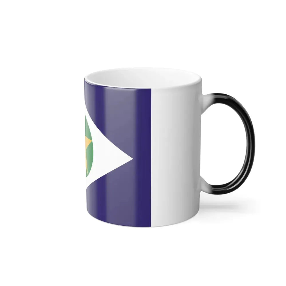 Flag of Mato Grosso Brazil - Color Changing Coffee Mug - Go Mug Yourself