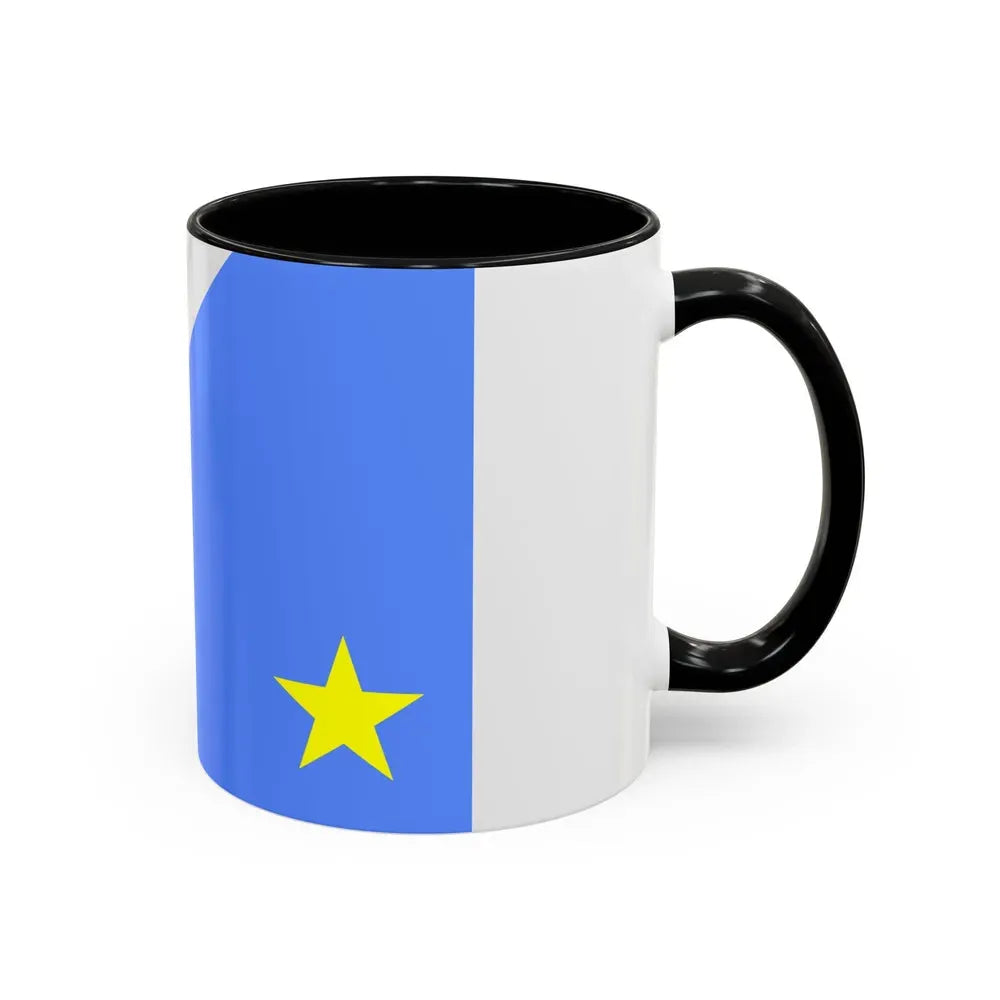Flag of Mato Grosso do Sul Brazil - Accent Coffee Mug - Go Mug Yourself