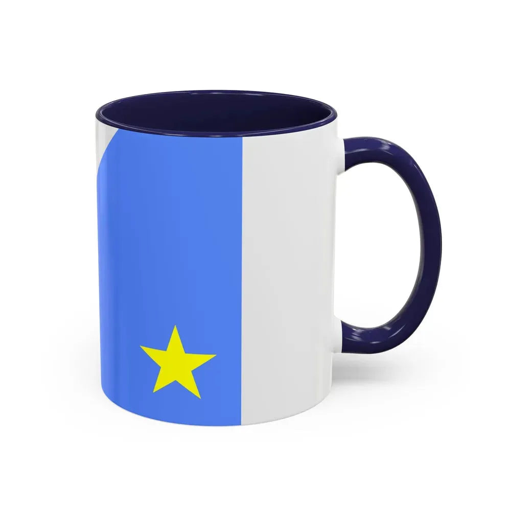 Flag of Mato Grosso do Sul Brazil - Accent Coffee Mug - Go Mug Yourself