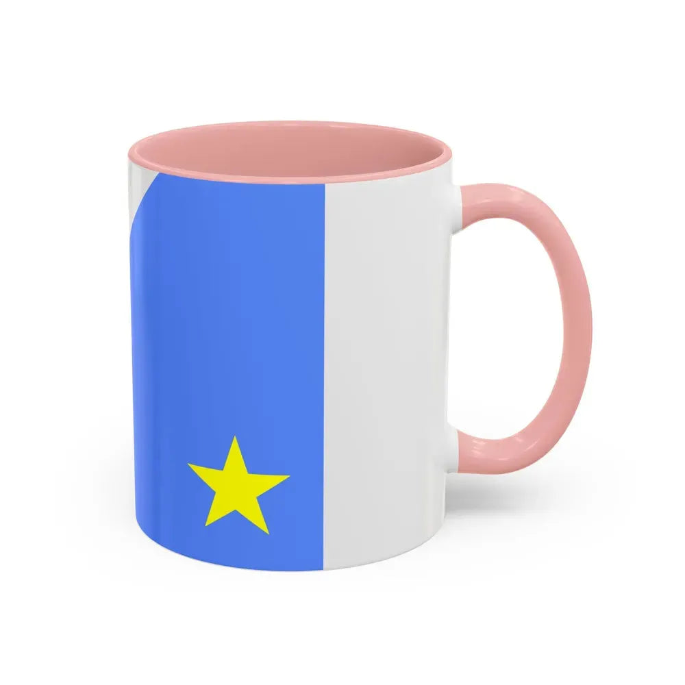 Flag of Mato Grosso do Sul Brazil - Accent Coffee Mug - Go Mug Yourself