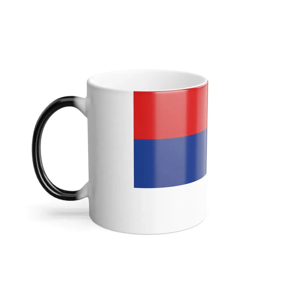 Flag of Misiones Province Argentina - Color Changing Coffee Mug - Go Mug Yourself