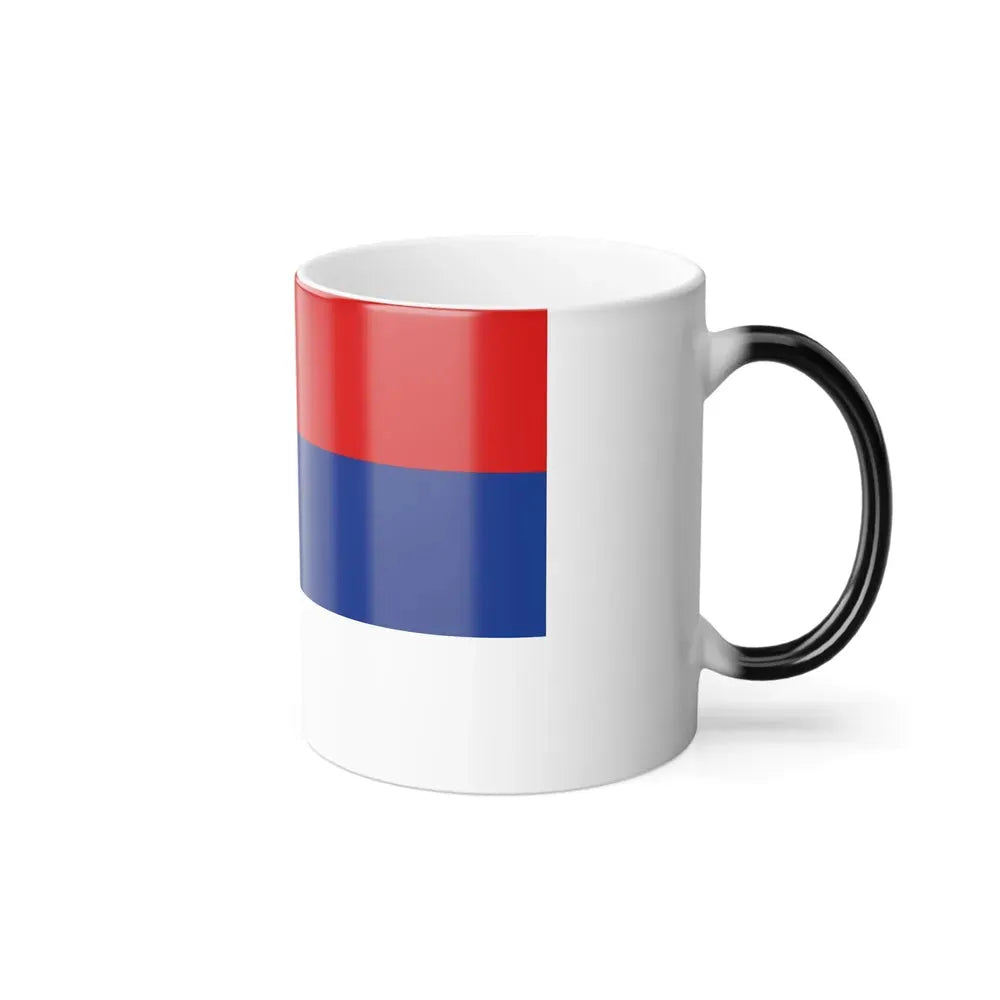 Flag of Misiones Province Argentina - Color Changing Coffee Mug - Go Mug Yourself