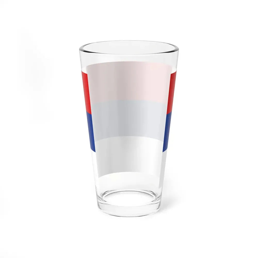 Flag of Misiones Province Argentina - Pint Glass 16oz - Go Mug Yourself