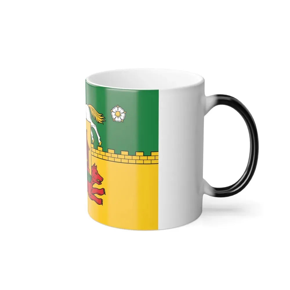 Flag of Novokuznetsk Russia - Color Changing Coffee Mug - Go Mug Yourself