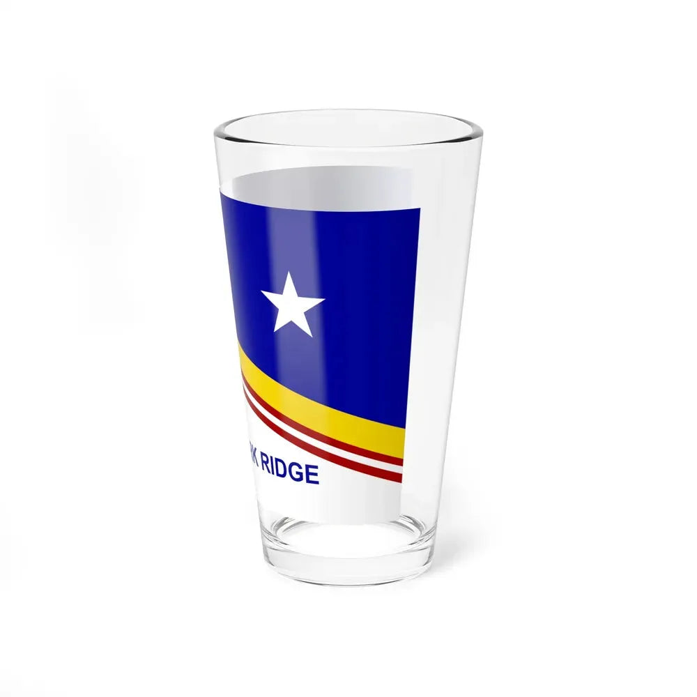 Flag of Park Ridge, Illinois - Pint Glass 16oz - Go Mug Yourself