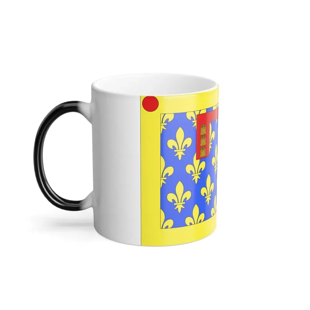 Flag of Pas de Calais France 2 - Color Changing Coffee Mug - Go Mug Yourself