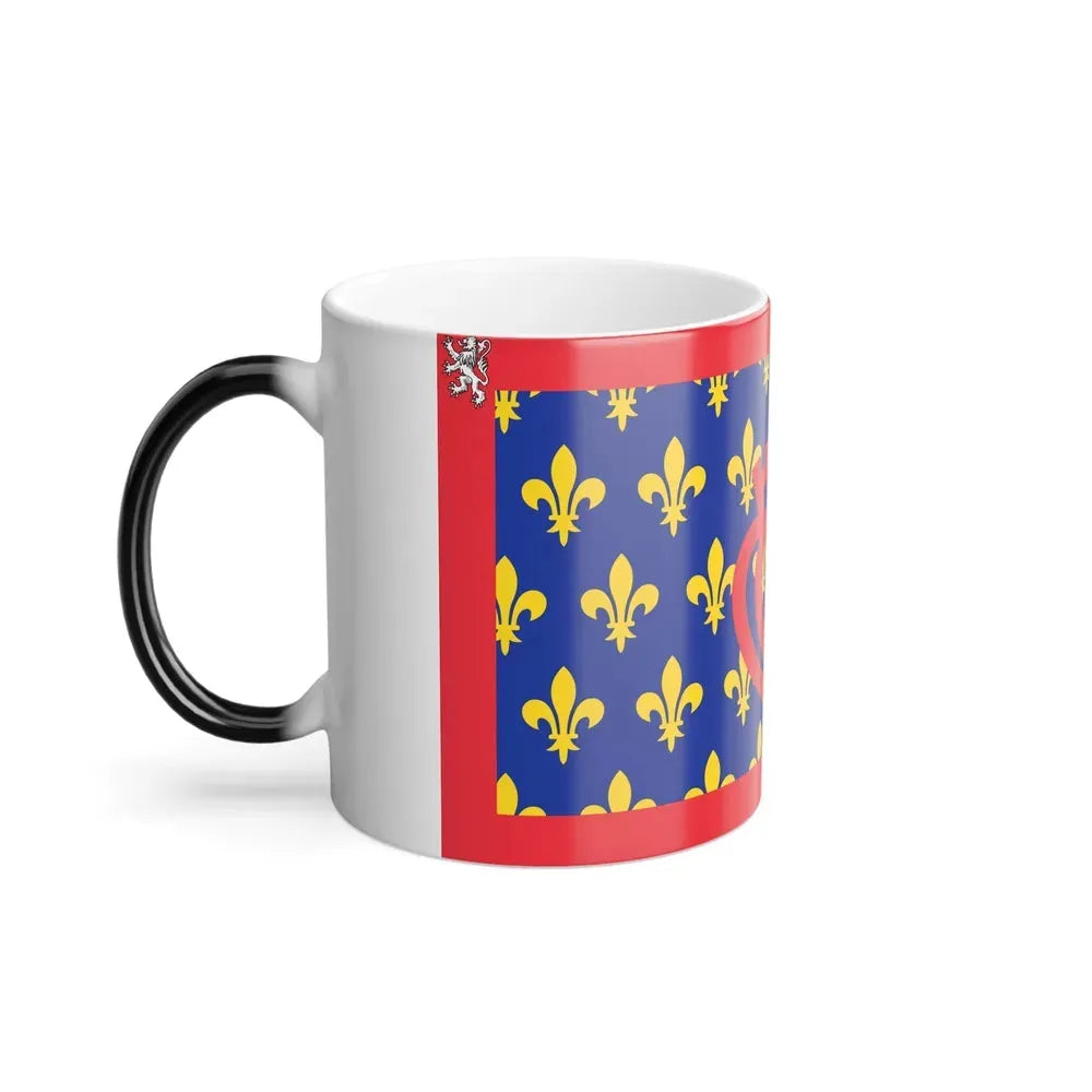 Flag of Pays de la Loire France - Color Changing Coffee Mug - Go Mug Yourself