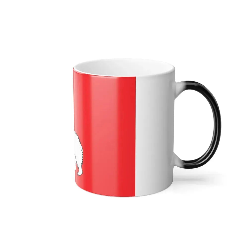 Flag of Perm Russia - Color Changing Coffee Mug - Go Mug Yourself