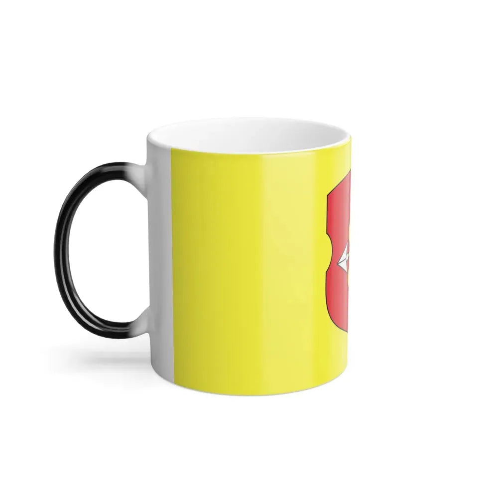 Flag of Pinsk Russia - Color Changing Coffee Mug - Go Mug Yourself