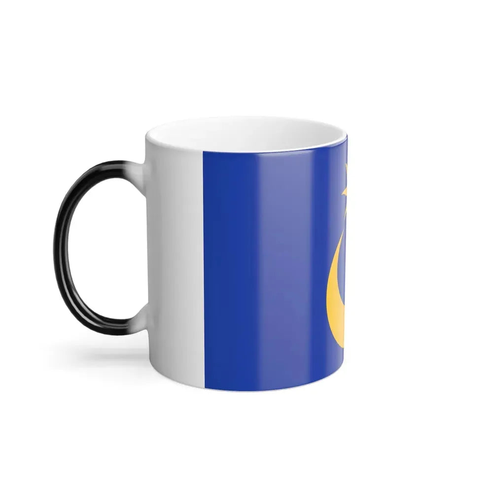 Flag of Portsmouth UK - Color Changing Coffee Mug - Go Mug Yourself