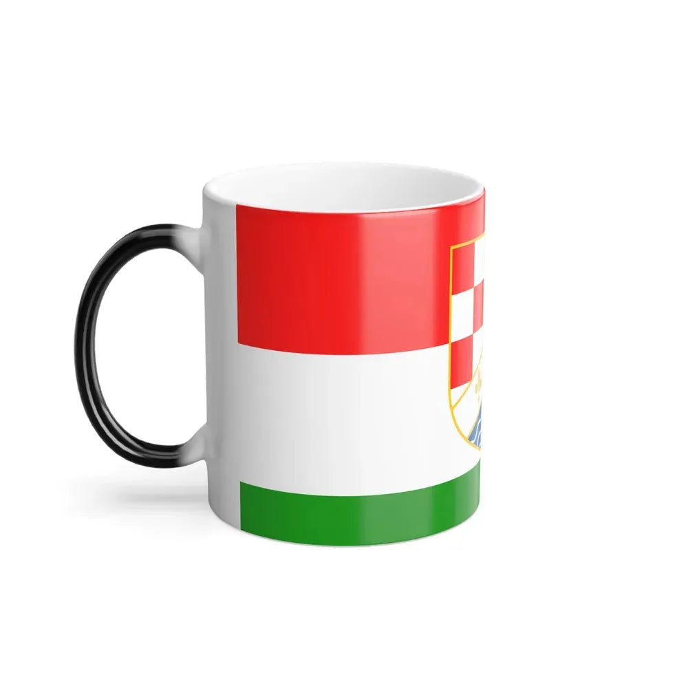 Flag of Posavina Canton Bosnia and Herzegovina - Color Changing Coffee Mug - Go Mug Yourself