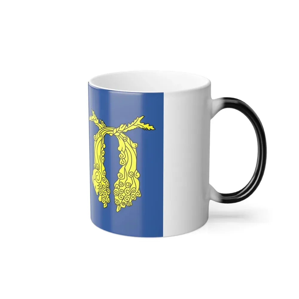 Flag of Poti Georgia - Color Changing Coffee Mug - Go Mug Yourself