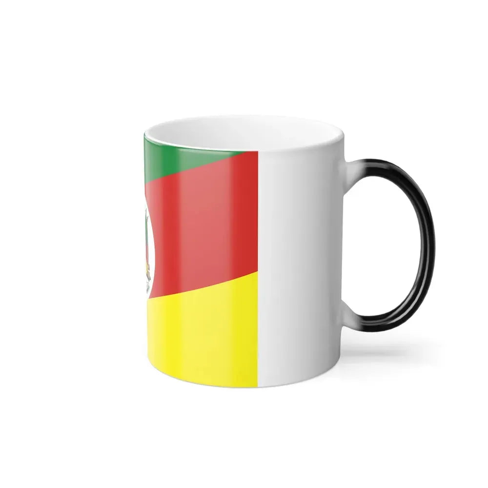 Flag of Rio Grande do Sul Brazil - Color Changing Coffee Mug - Go Mug Yourself