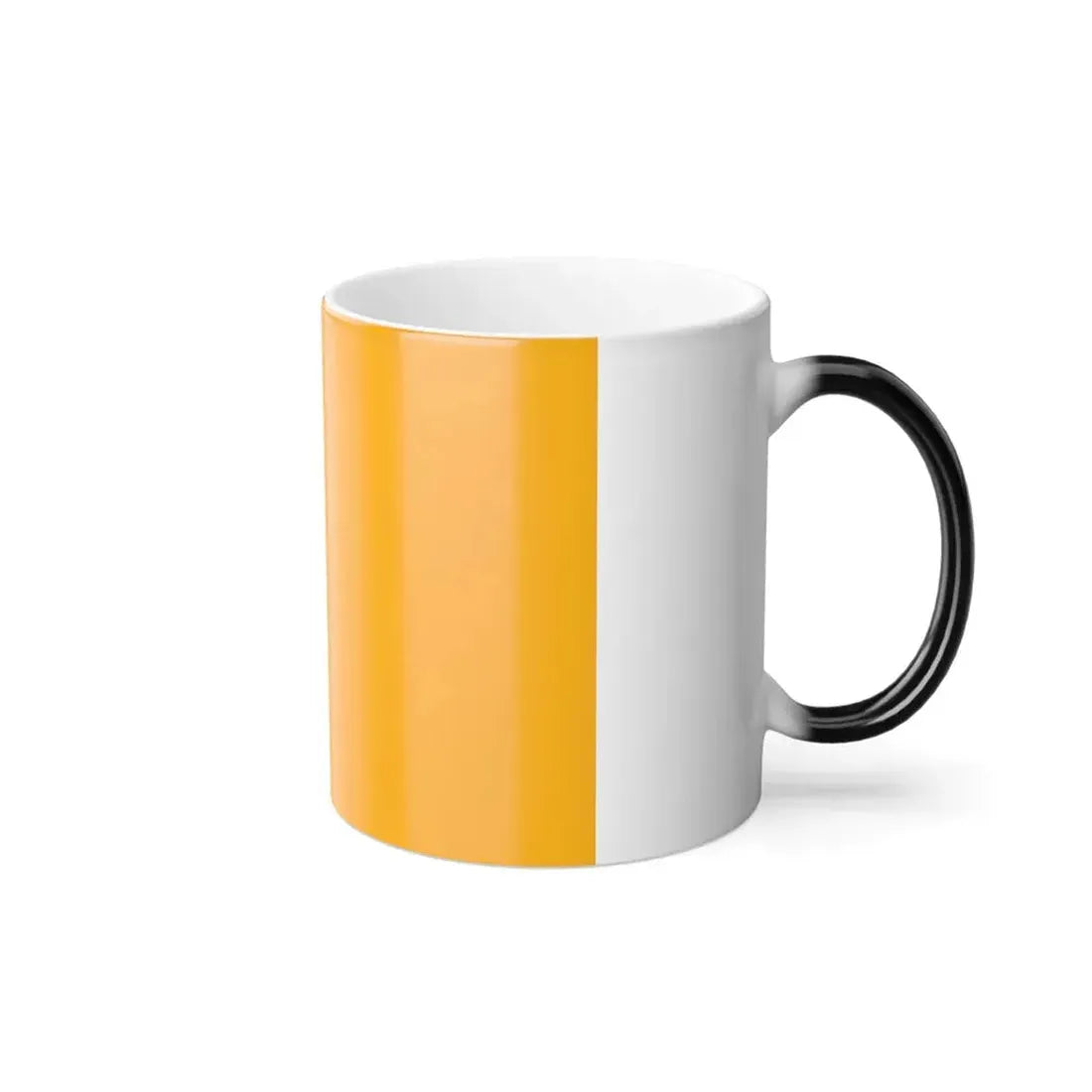 Flag of Rome Italy - Color Changing Coffee Mug - Go Mug Yourself