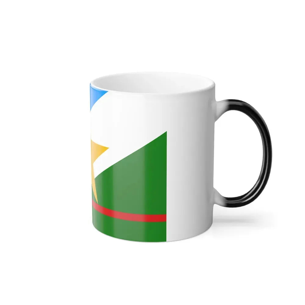 Flag of Roraima Brazil - Color Changing Coffee Mug - Go Mug Yourself