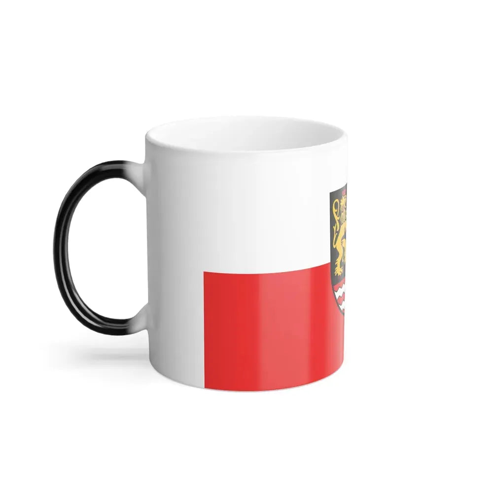 Flag of Saale Orla Kreis Germany - Color Changing Coffee Mug - Go Mug Yourself