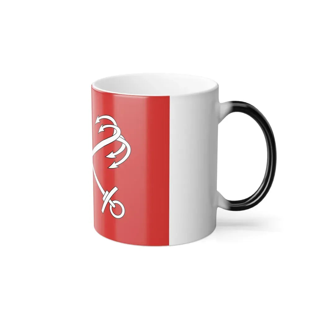 Flag of Saint Petersburg Russia - Color Changing Coffee Mug - Go Mug Yourself