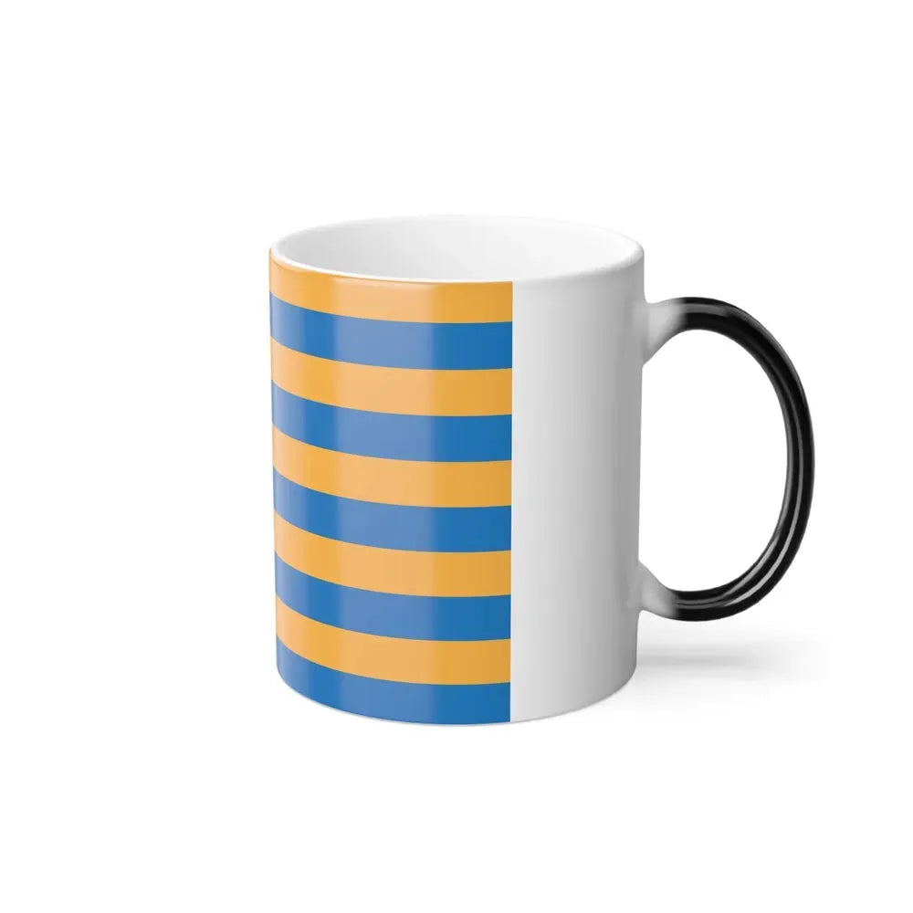 Flag of Salisbury, Maryland - Color Changing Coffee Mug - Go Mug Yourself