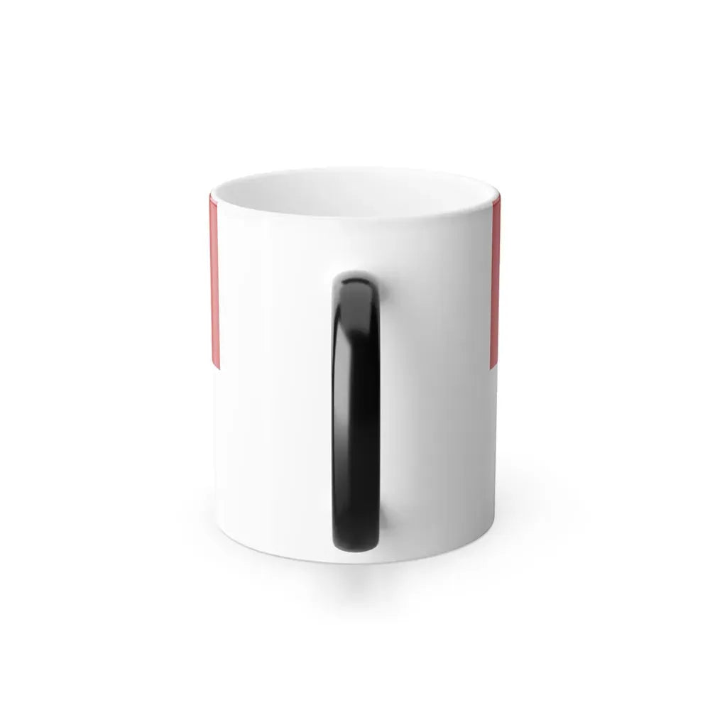 Flag of Salzlandkreis Germany - Color Changing Coffee Mug - Go Mug Yourself