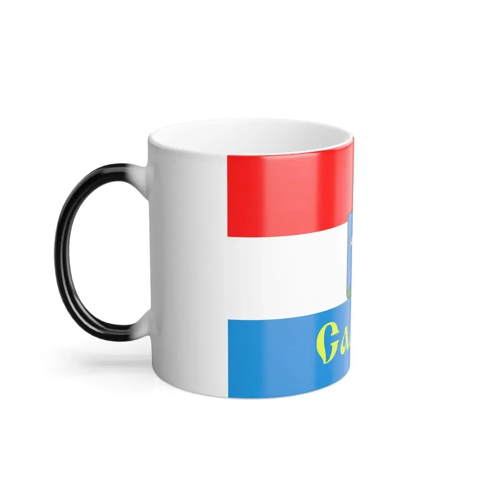 Flag of Samara Russia - Color Changing Coffee Mug - Go Mug Yourself
