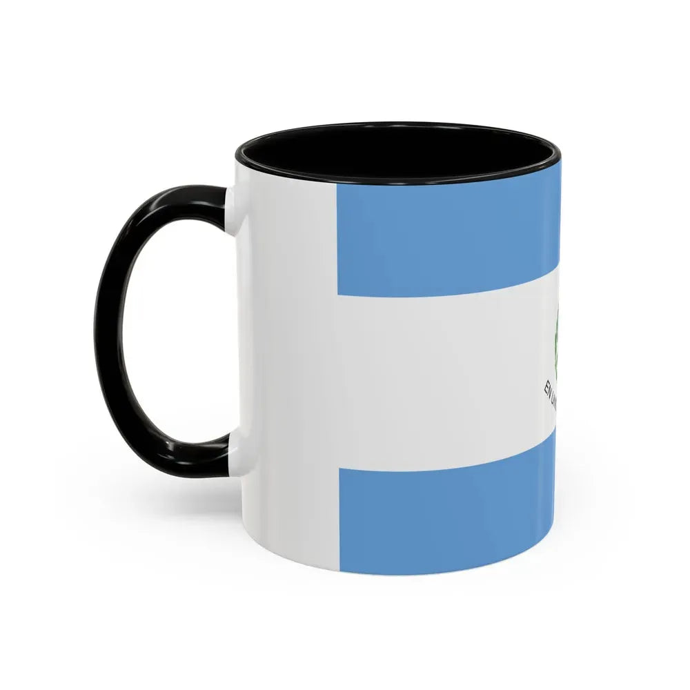 Flag of San Juan Province Argentina - Accent Coffee Mug - Go Mug Yourself
