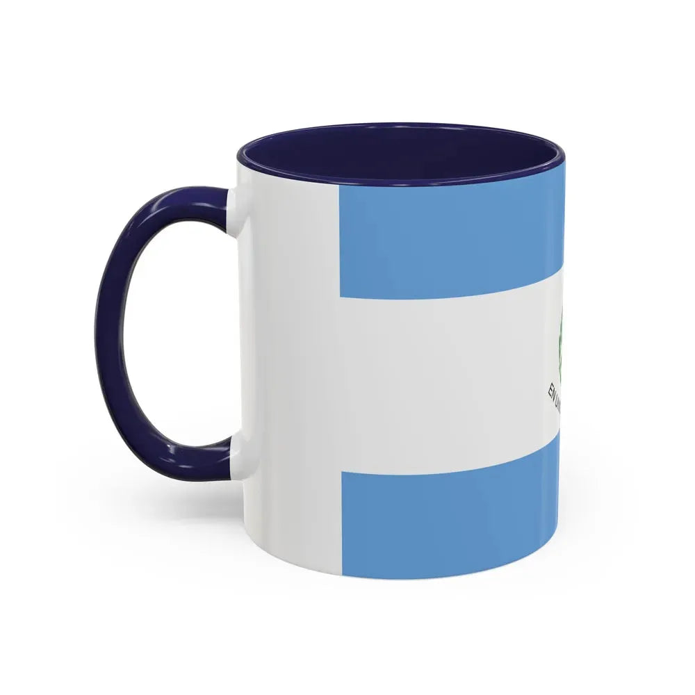 Flag of San Juan Province Argentina - Accent Coffee Mug - Go Mug Yourself