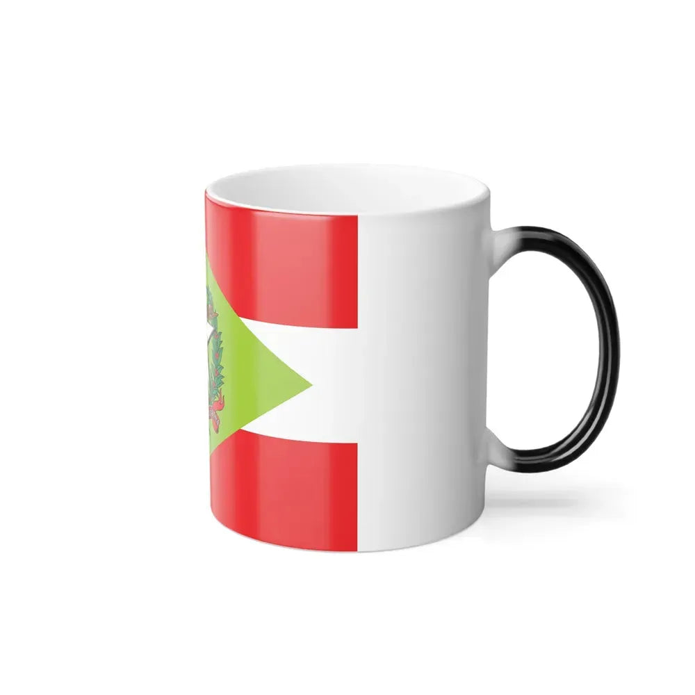 Flag of Santa Catarina Brazil - Color Changing Coffee Mug - Go Mug Yourself