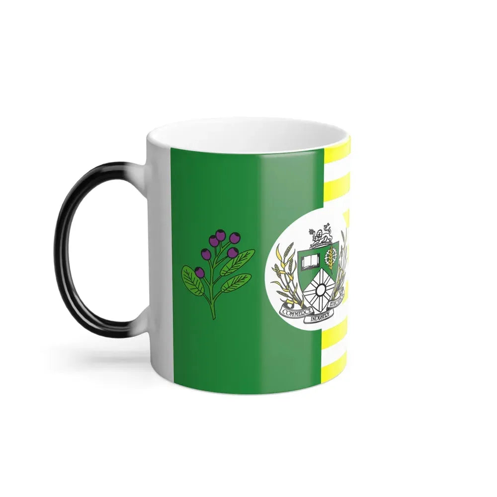 Flag of Saskatoon Canada - Color Changing Coffee Mug - Go Mug Yourself