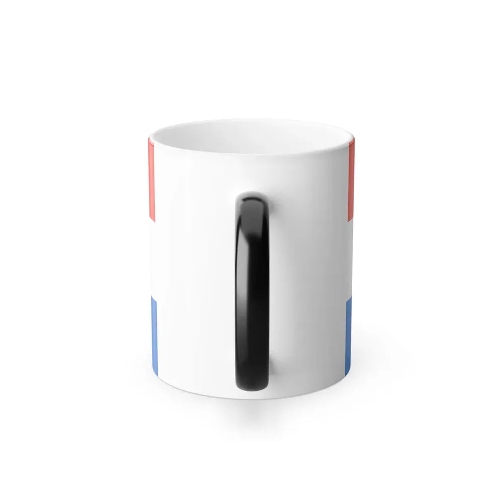 Flag of Schwandorf Germany - Color Changing Coffee Mug - Go Mug Yourself