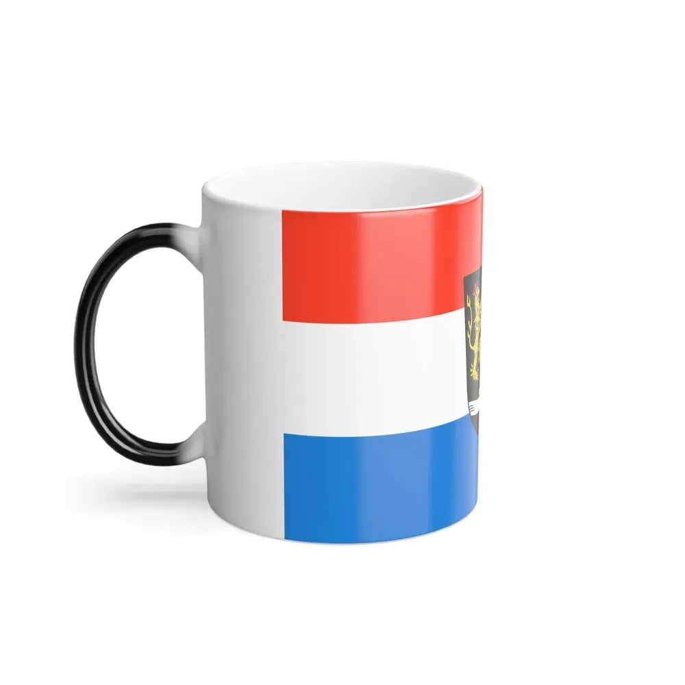 Flag of Schwandorf Germany - Color Changing Coffee Mug - Go Mug Yourself