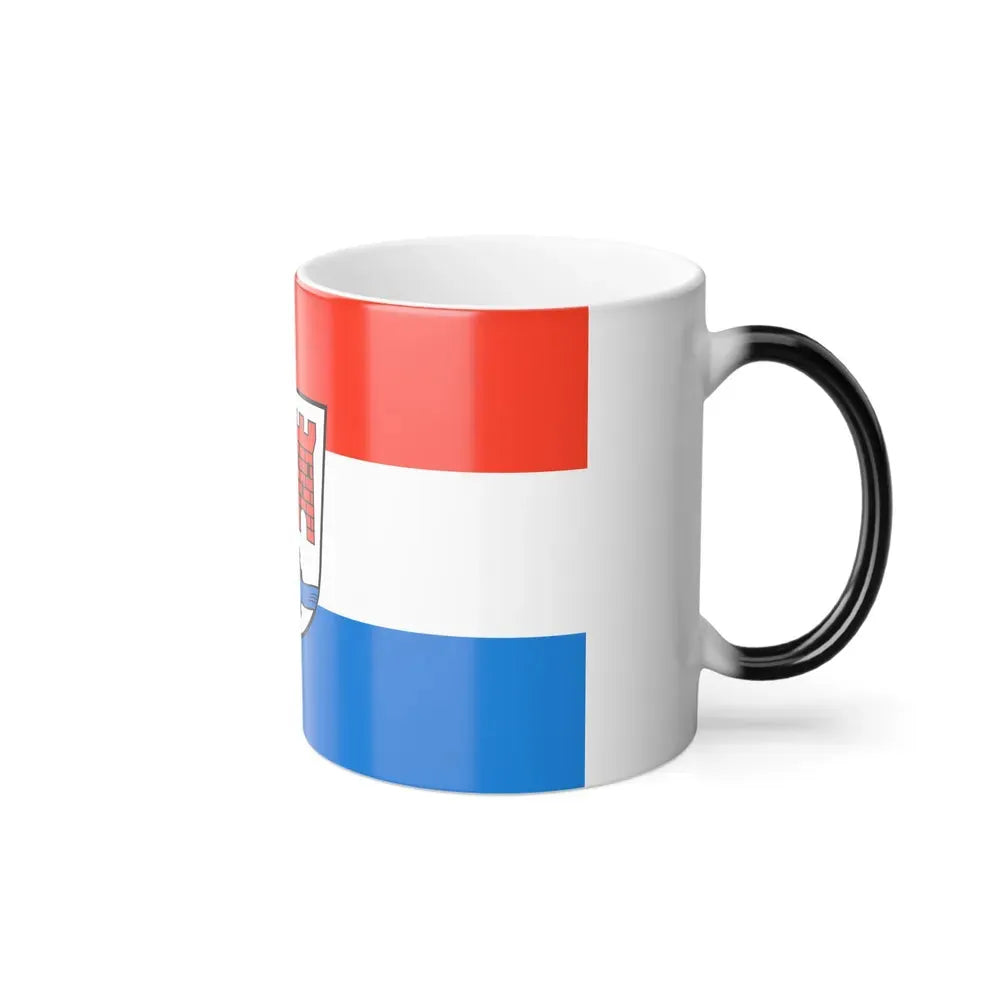 Flag of Schwandorf Germany - Color Changing Coffee Mug - Go Mug Yourself
