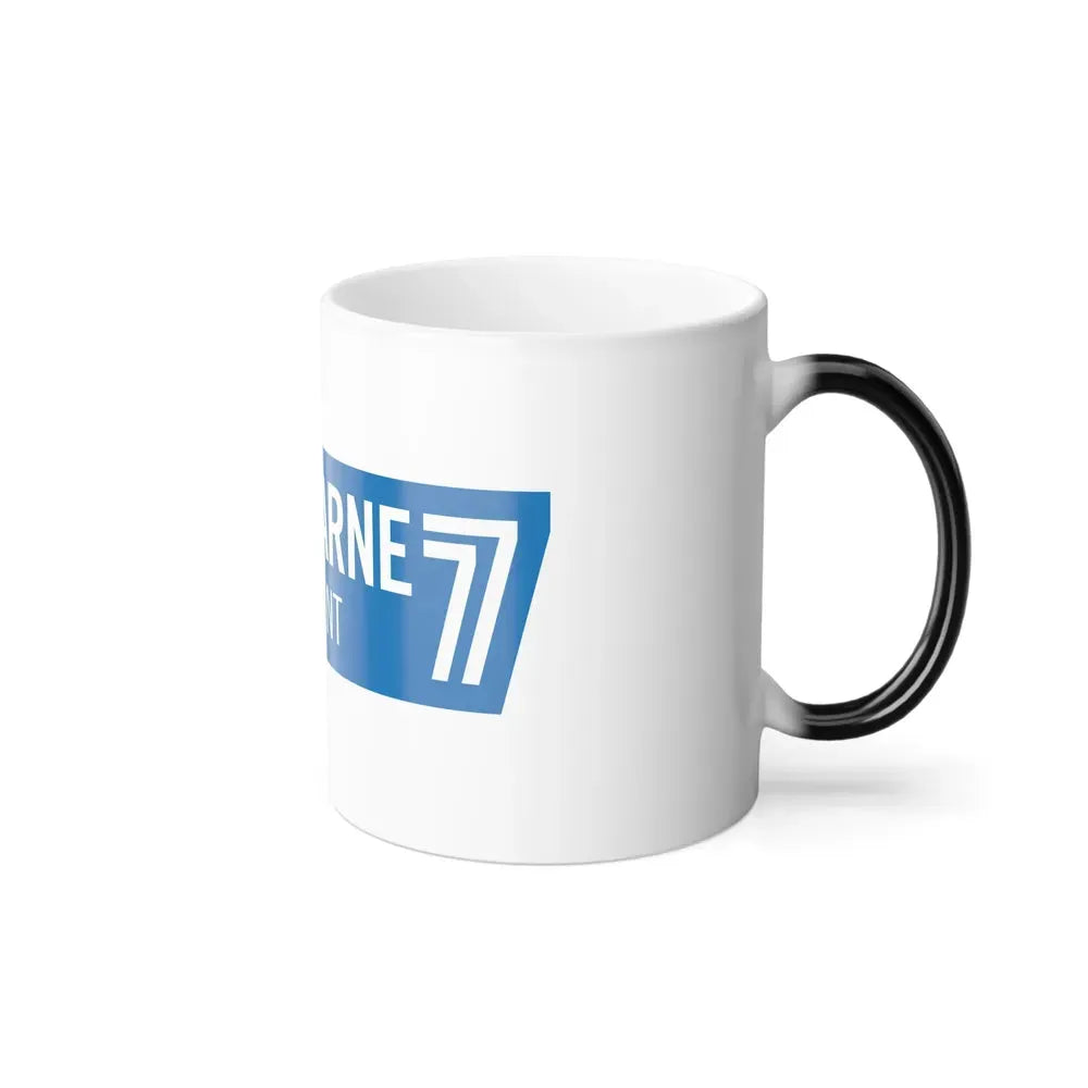 Flag of Seine et Marne France - Color Changing Coffee Mug - Go Mug Yourself