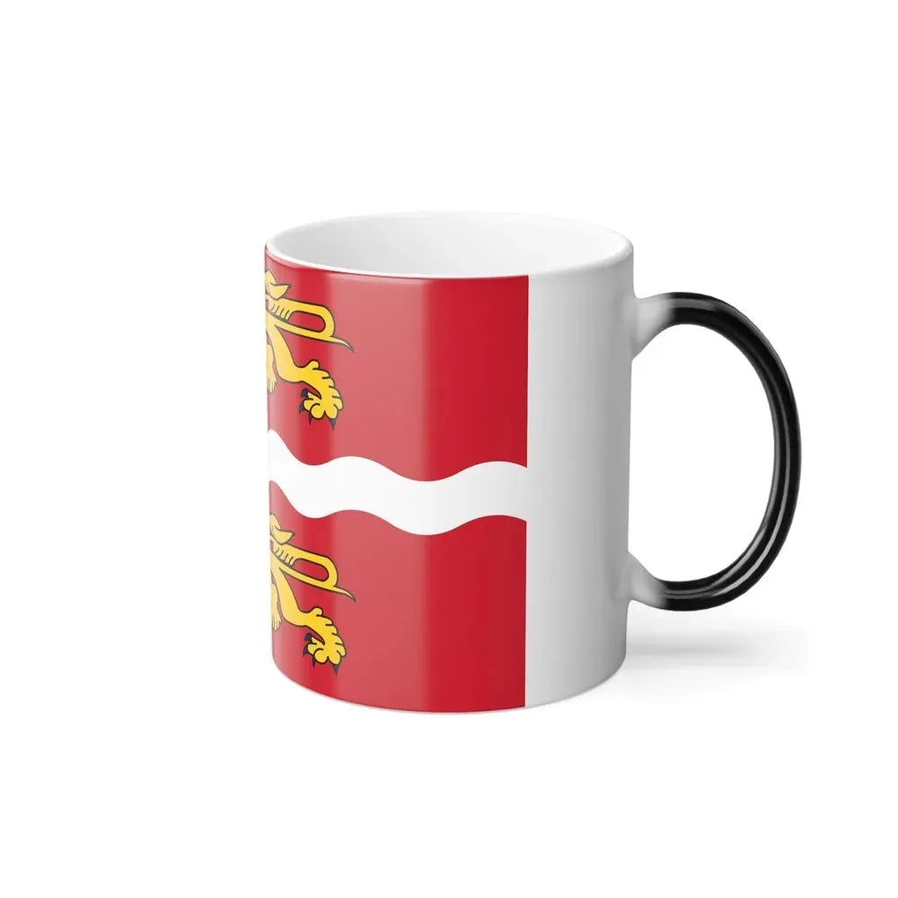 Flag of Seine Maritime France 2 - Color Changing Coffee Mug - Go Mug Yourself
