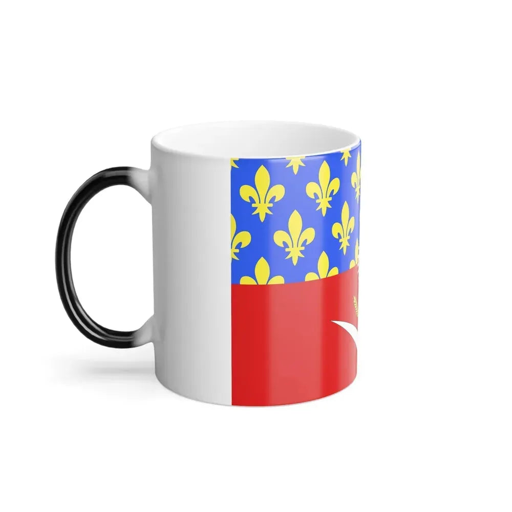 Flag of Seine Saint Denis France - Color Changing Coffee Mug - Go Mug Yourself
