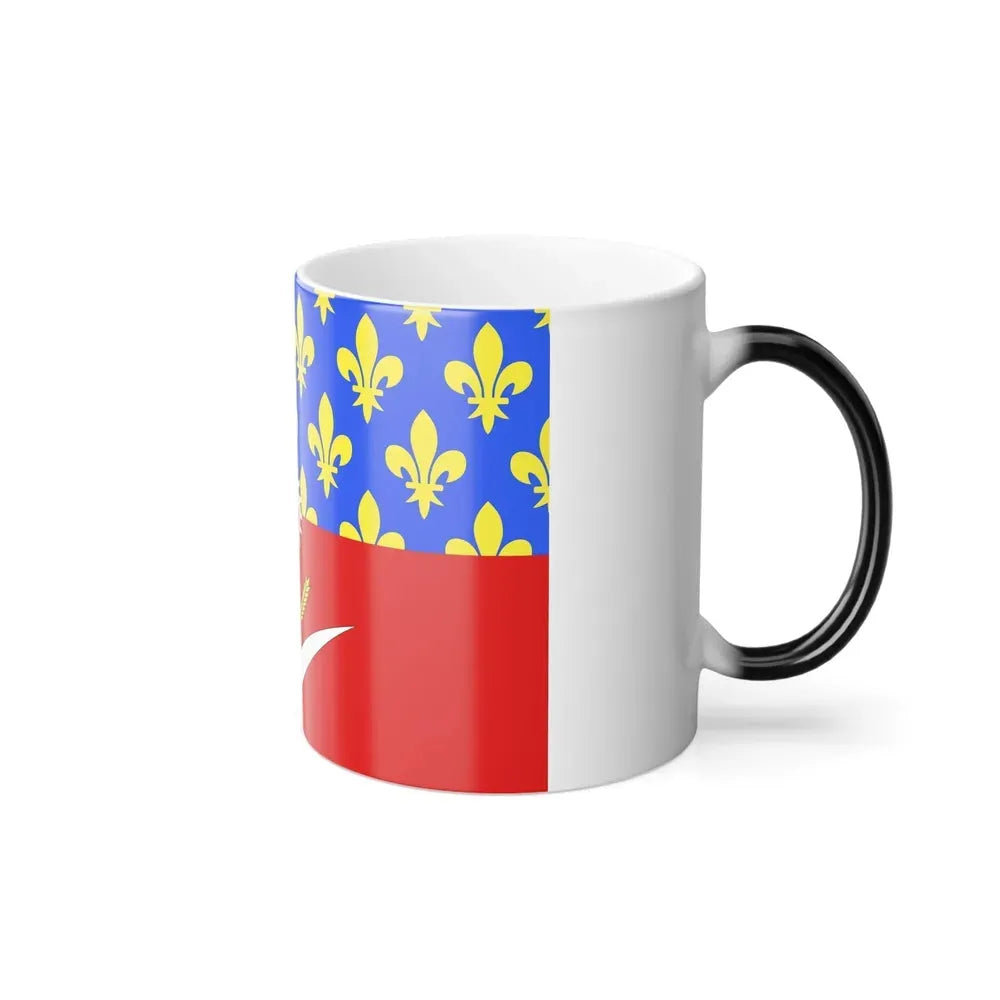 Flag of Seine Saint Denis France - Color Changing Coffee Mug - Go Mug Yourself