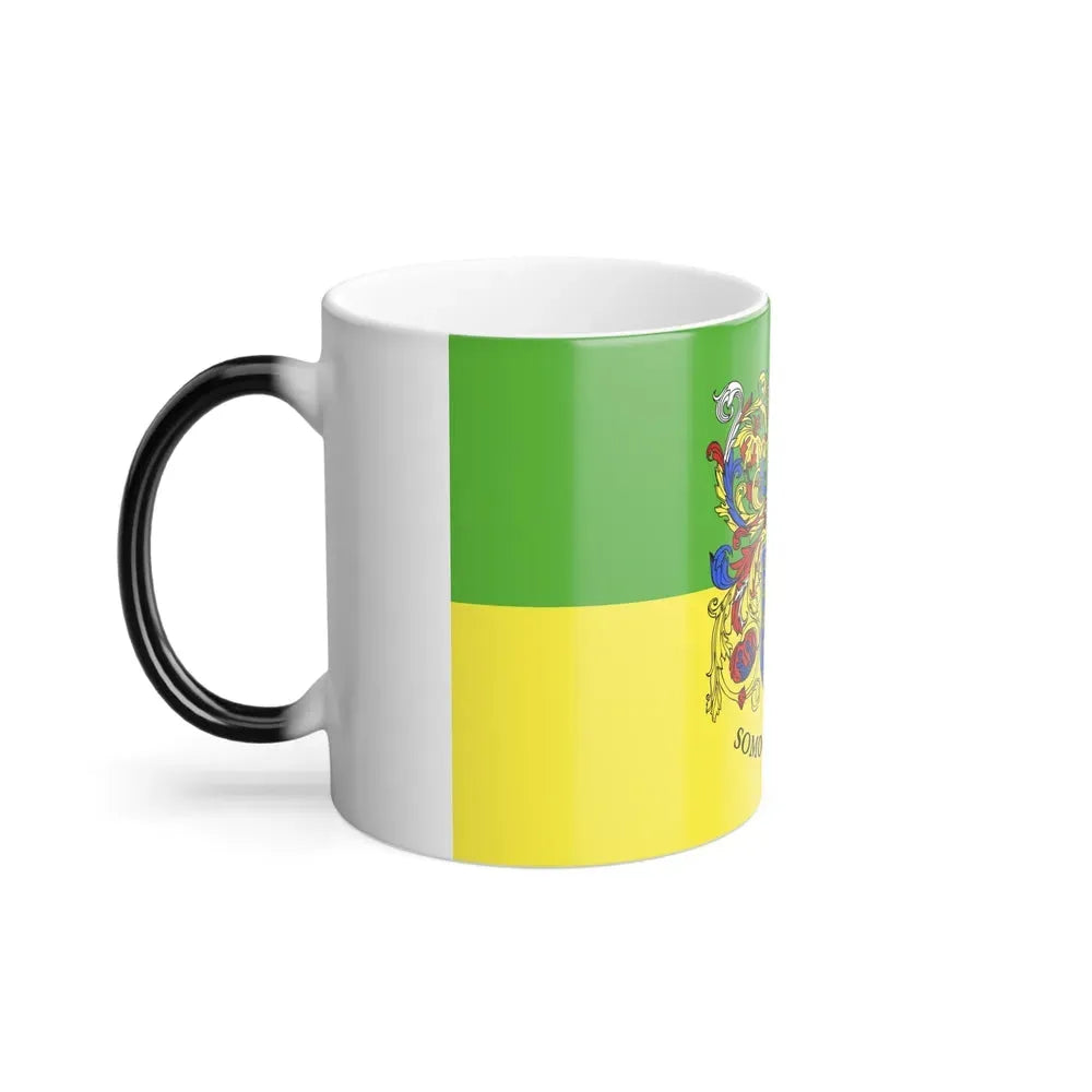 Flag of Somogy County Hungary - Color Changing Coffee Mug - Go Mug Yourself