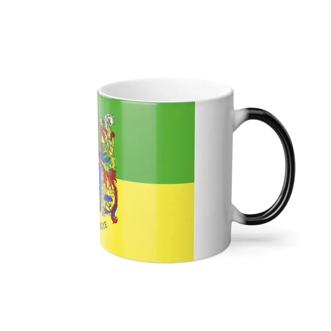 Flag of Somogy County Hungary - Color Changing Coffee Mug - Go Mug Yourself