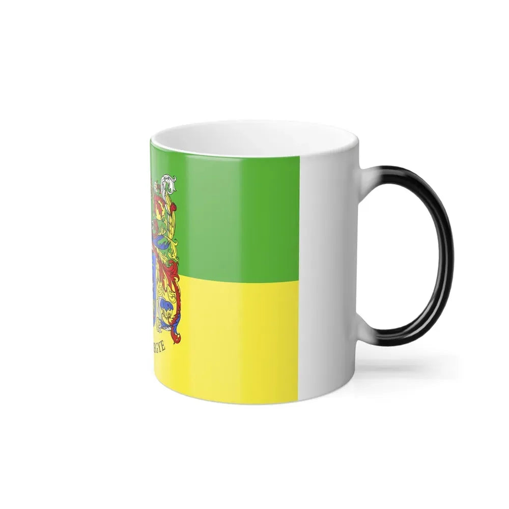 Flag of Somogy County Hungary - Color Changing Coffee Mug - Go Mug Yourself