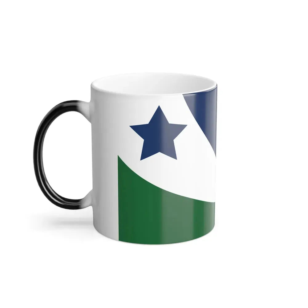 Flag of Spring Hill, Tennessee - Color Changing Coffee Mug - Go Mug Yourself