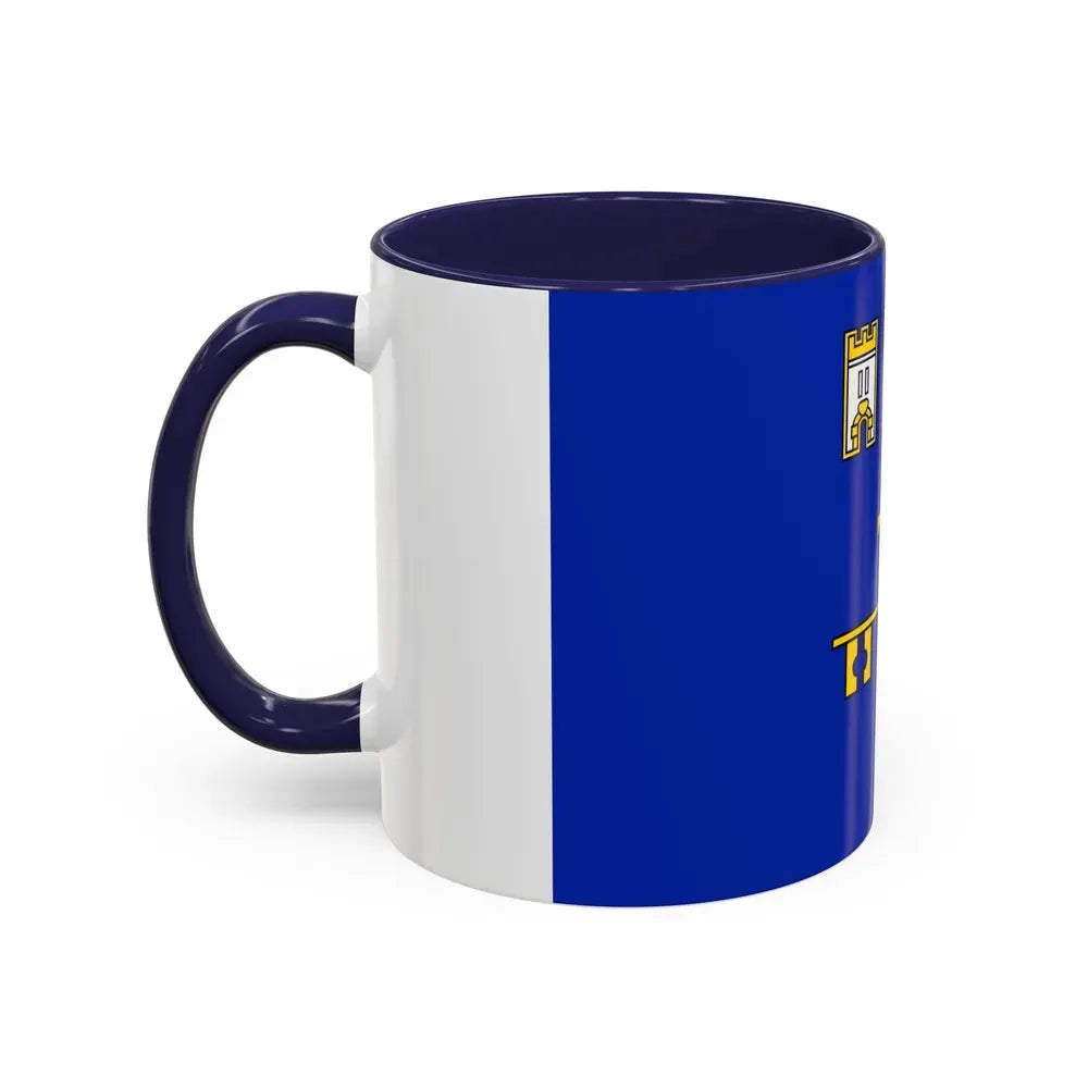 Flag of Ternopil Oblast Ukraine - Accent Coffee Mug - Go Mug Yourself