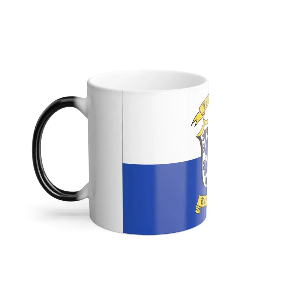 Flag of Traunstein Germany - Color Changing Coffee Mug - Go Mug Yourself