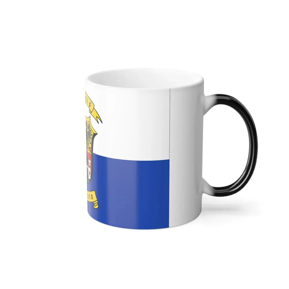 Flag of Traunstein Germany - Color Changing Coffee Mug - Go Mug Yourself