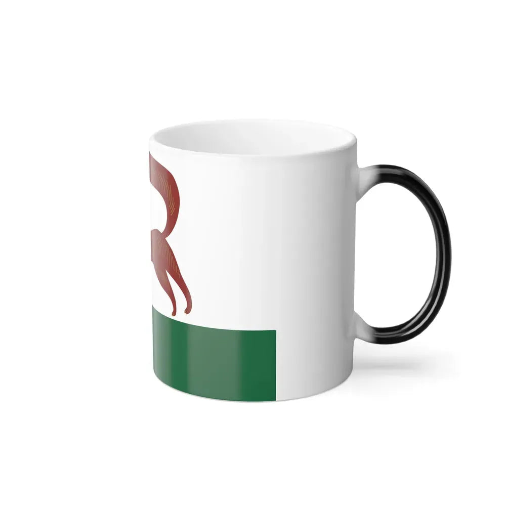 Flag of Ufa Russia - Color Changing Coffee Mug - Go Mug Yourself