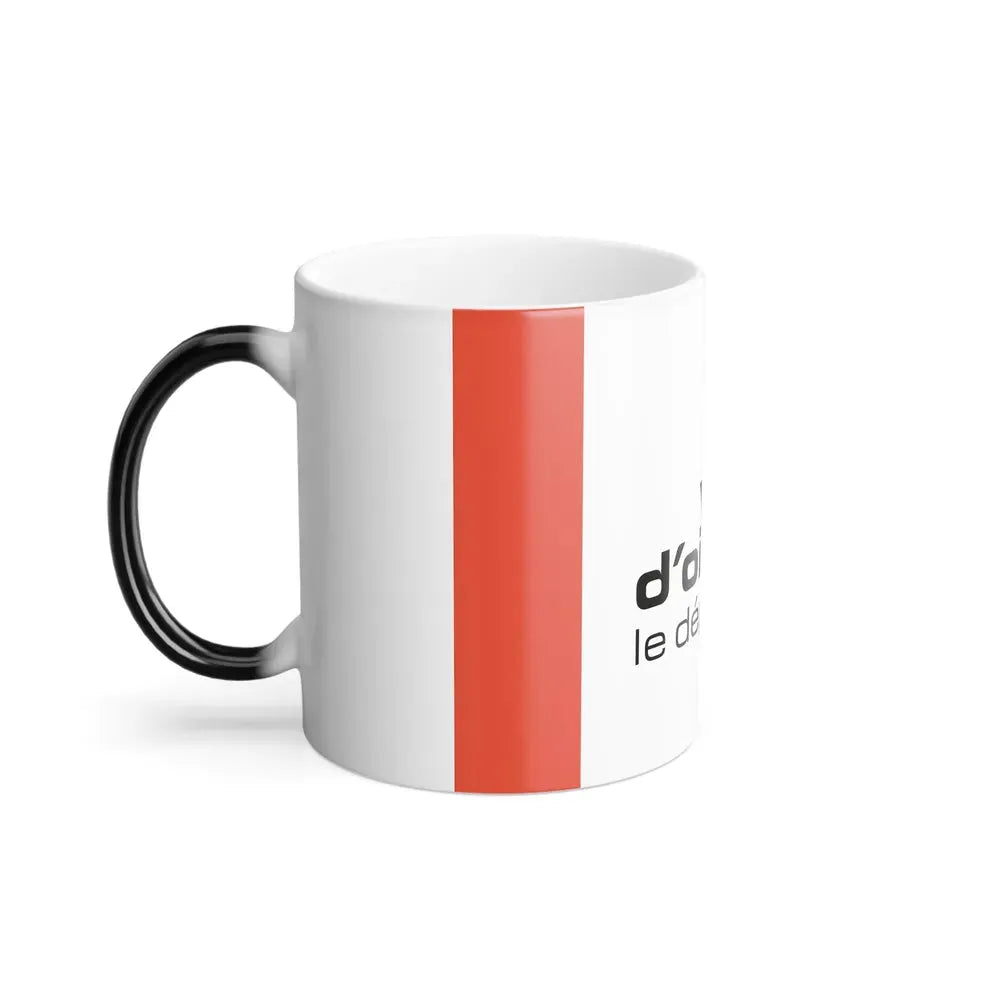 Flag of Val d'Oise France - Color Changing Coffee Mug - Go Mug Yourself