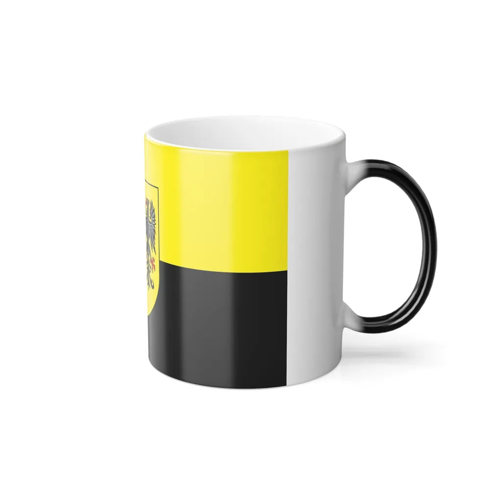 Flag of Vogtlandkreis Germany - Color Changing Coffee Mug-Go Mug Yourself
