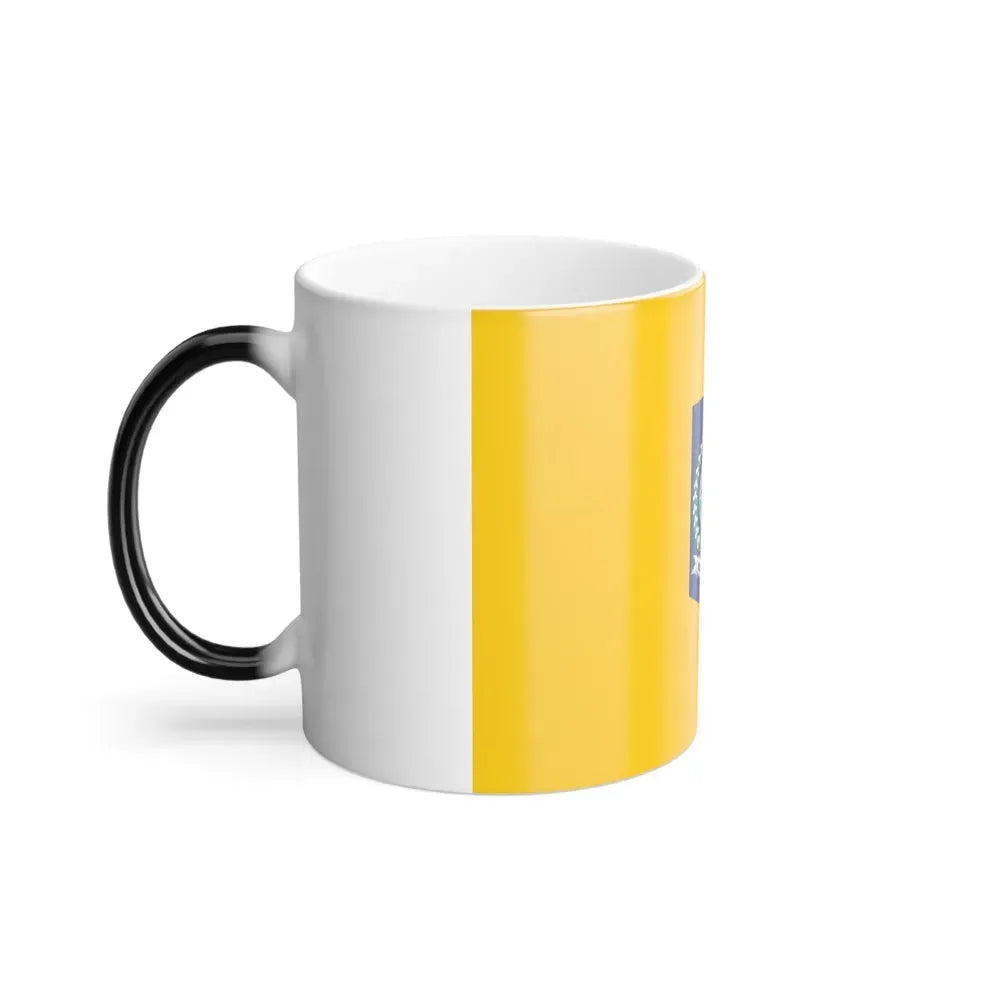 Flag of West Nusa Tenggara Indonesia - Color Changing Coffee Mug - Go Mug Yourself